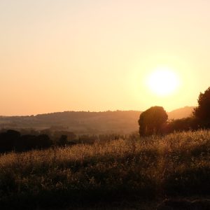 DSCF9321